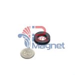 آهنربا رینگی سرامیکی 3*10*20